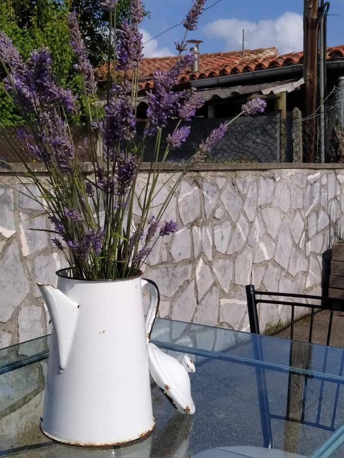 La Granda De La Concha Villa Nueva De Llanes Kültér fotó
